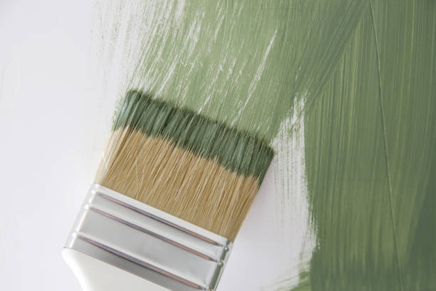 Best Forensic Mold Investigation  in Lesslie, SC