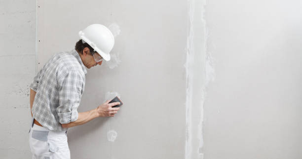 Best Industrial Mold Remediation  in Lesslie, SC