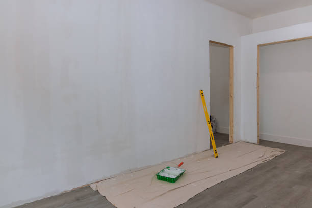 Best Commercial Mold Inspection  in Lesslie, SC