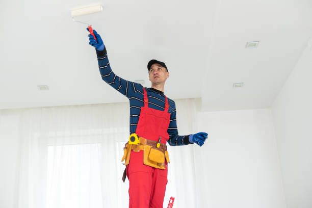 Best Air Quality Testing for Mold Spores  in Lesslie, SC