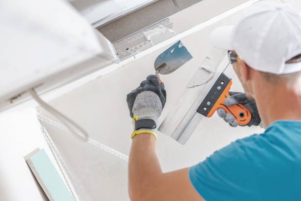 Best Crawl Space Mold Remediation  in Lesslie, SC